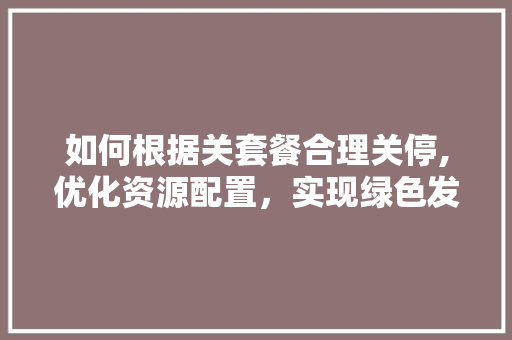 如何根据关套餐合理关停,优化资源配置，实现绿色发展