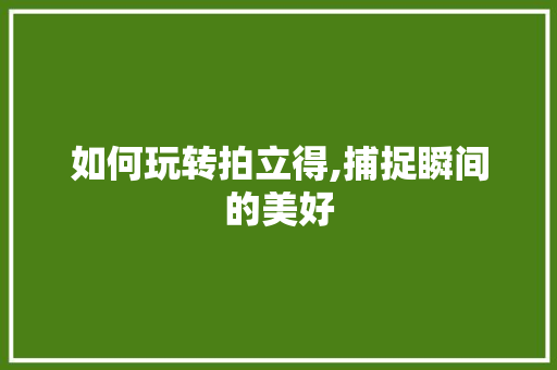 如何玩转拍立得,捕捉瞬间的美好