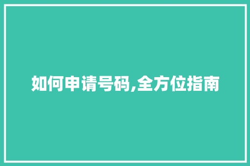 如何申请号码,全方位指南