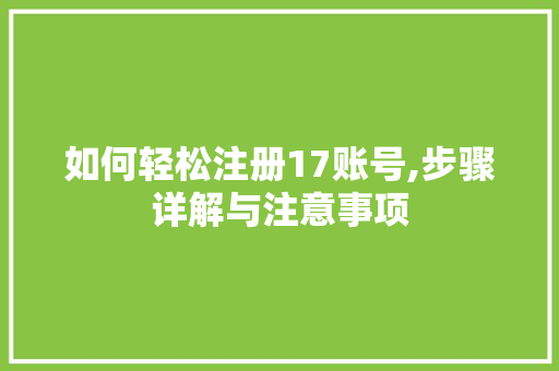 如何轻松注册17账号,步骤详解与注意事项