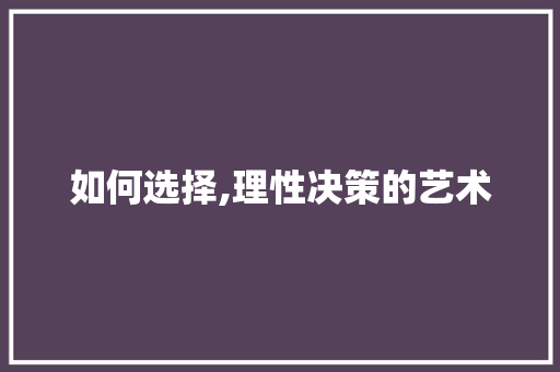如何选择,理性决策的艺术