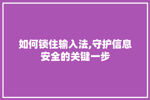 如何锁住输入法,守护信息安全的关键一步