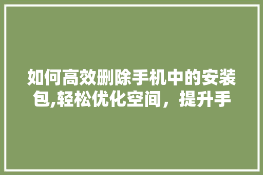 如何高效删除手机中的安装包,轻松优化空间，提升手机性能
