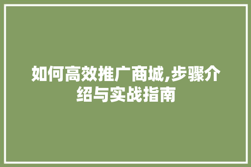 如何高效推广商城,步骤介绍与实战指南