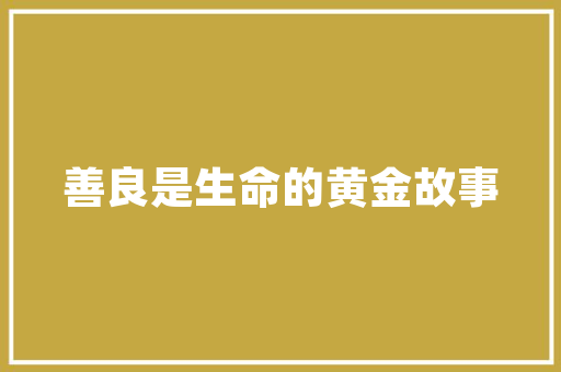 如何高效申请快车服务,步骤介绍与要点指南
