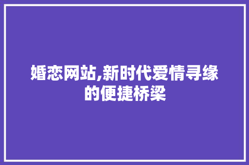 婚恋网站,新时代爱情寻缘的便捷桥梁