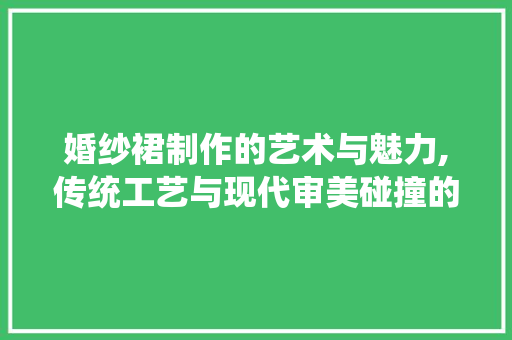 婚纱裙制作的艺术与魅力,传统工艺与现代审美碰撞的火花 服务器/数据库