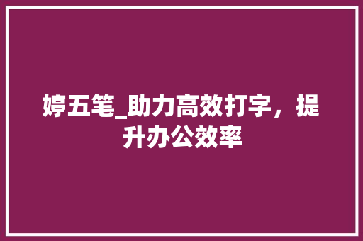婷五笔_助力高效打字，提升办公效率