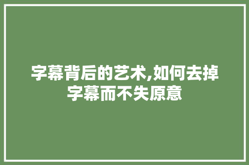 字幕背后的艺术,如何去掉字幕而不失原意