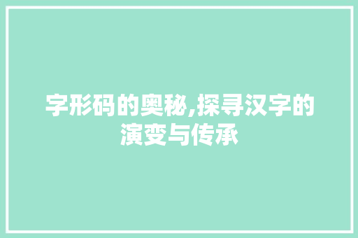 字形码的奥秘,探寻汉字的演变与传承