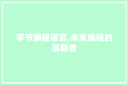 字节编程语言,未来编程的革新者