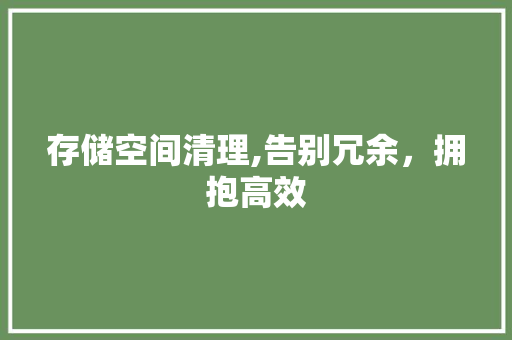 存储空间清理,告别冗余，拥抱高效