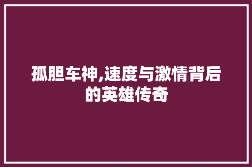 孤胆车神,速度与激情背后的英雄传奇