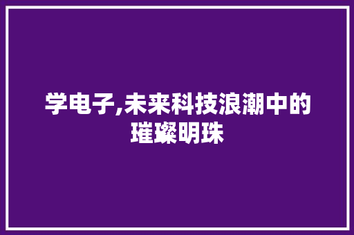 学电子,未来科技浪潮中的璀璨明珠