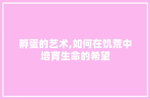 孵蛋的艺术,如何在饥荒中培育生命的希望