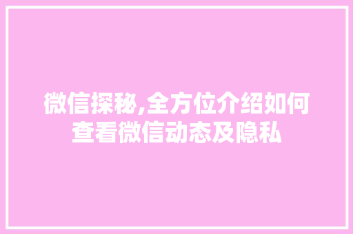微信探秘,全方位介绍如何查看微信动态及隐私