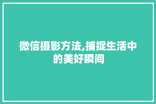 微信摄影方法,捕捉生活中的美好瞬间 建站教程