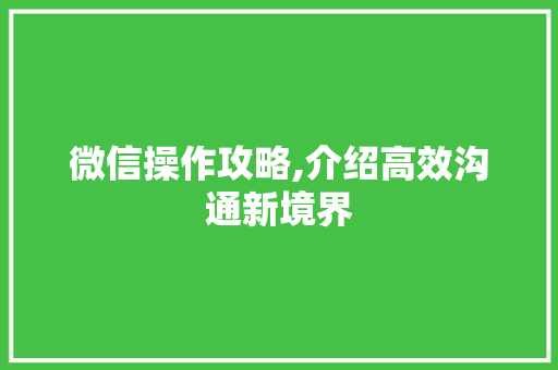 微信操作攻略,介绍高效沟通新境界 WordPress教程