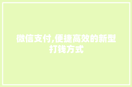 微信支付,便捷高效的新型打钱方式 WordPress教程