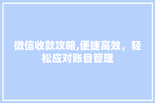 微信收款攻略,便捷高效，轻松应对账目管理 建站教程