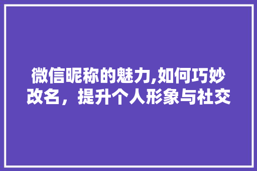 微信昵称的魅力,如何巧妙改名，提升个人形象与社交价值