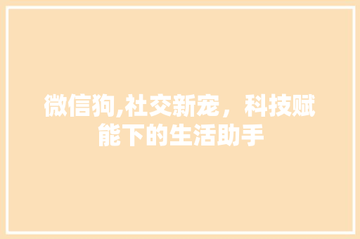 微信狗,社交新宠，科技赋能下的生活助手 服务器/数据库