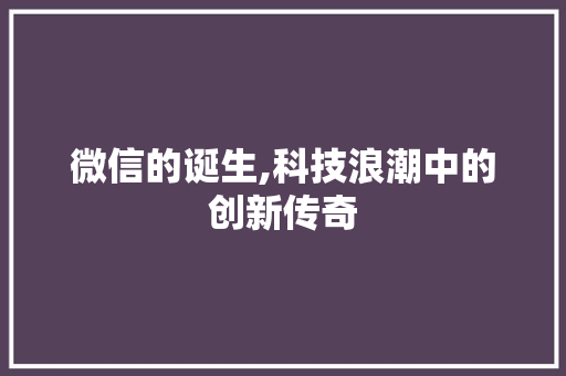 微信的诞生,科技浪潮中的创新传奇