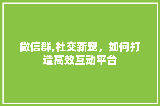 微信群,社交新宠，如何打造高效互动平台