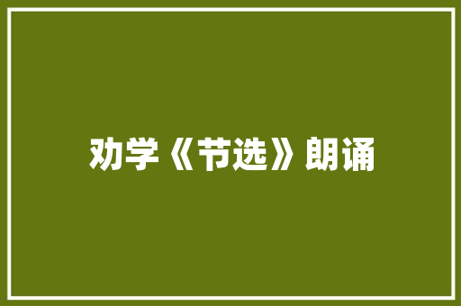 如何从0开始做编程「wordpress 中文」 如何从0开始做编程「wordpress 中文」 友链在线