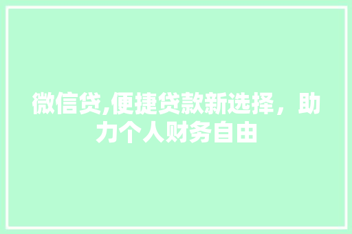 微信贷,便捷贷款新选择，助力个人财务自由