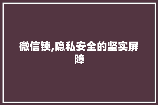 微信锁,隐私安全的坚实屏障