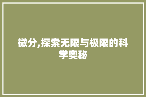 微分,探索无限与极限的科学奥秘 SEO教程