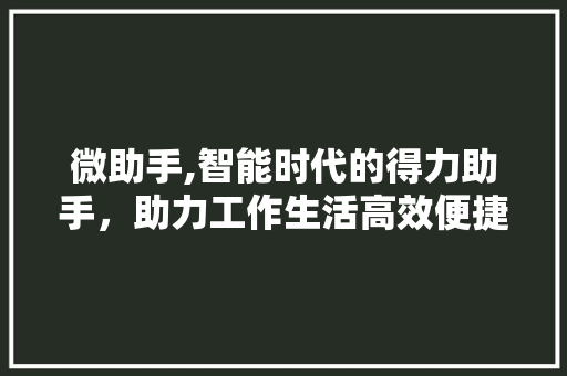 微助手,智能时代的得力助手，助力工作生活高效便捷