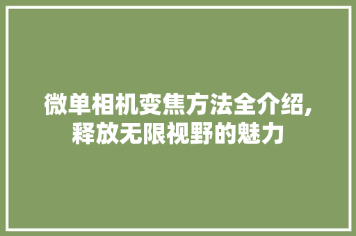 微单相机变焦方法全介绍,释放无限视野的魅力