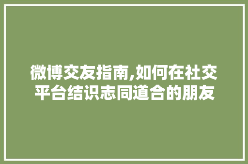 微博交友指南,如何在社交平台结识志同道合的朋友