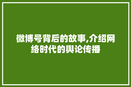 微博号背后的故事,介绍网络时代的舆论传播