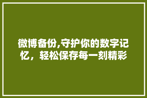 微博备份,守护你的数字记忆，轻松保存每一刻精彩