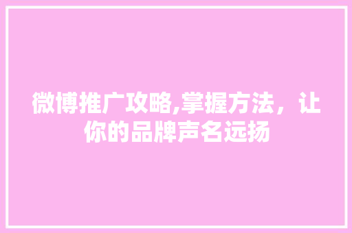 微博推广攻略,掌握方法，让你的品牌声名远扬