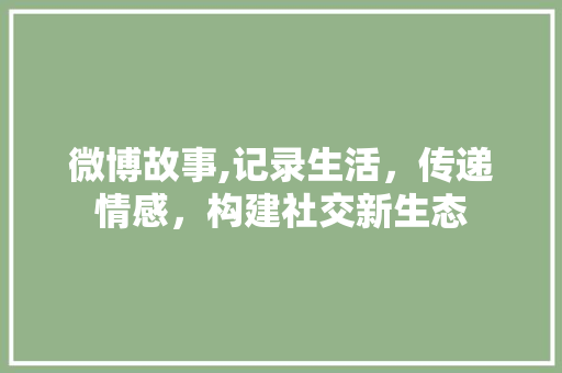 微博故事,记录生活，传递情感，构建社交新生态