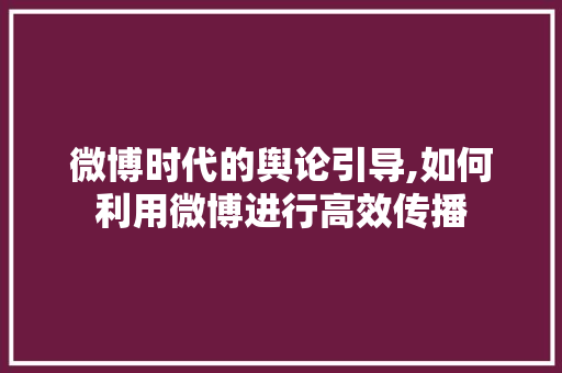 微博时代的舆论引导,如何利用微博进行高效传播