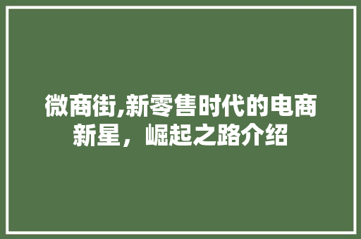 微商街,新零售时代的电商新星，崛起之路介绍 SEO教程