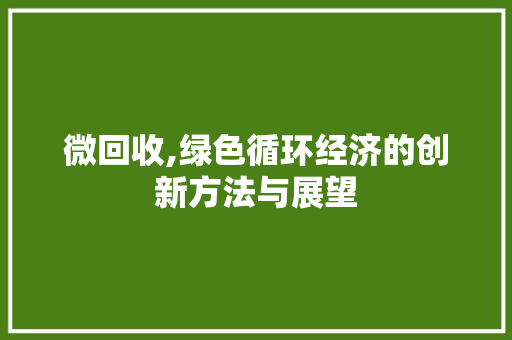 微回收,绿色循环经济的创新方法与展望 WordPress教程