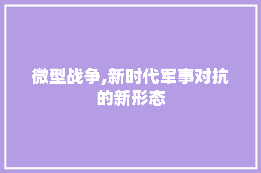 微型战争,新时代军事对抗的新形态 WordPress教程