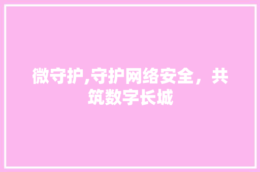 微守护,守护网络安全，共筑数字长城 WordPress教程