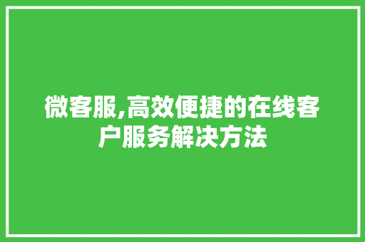 微客服,高效便捷的在线客户服务解决方法