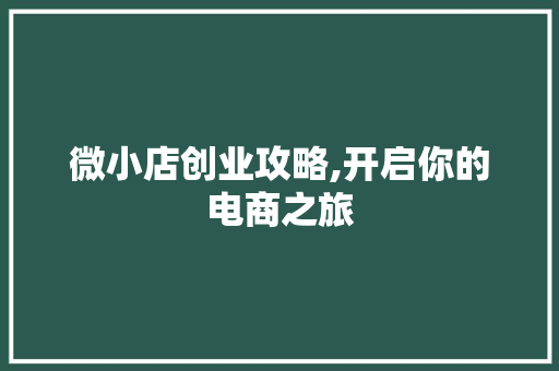 微小店创业攻略,开启你的电商之旅