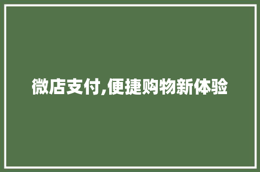 微店支付,便捷购物新体验