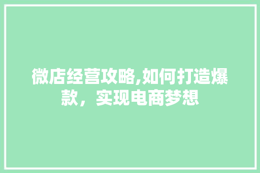 微店经营攻略,如何打造爆款，实现电商梦想 服务器/数据库