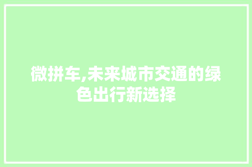 微拼车,未来城市交通的绿色出行新选择