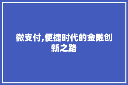 微支付,便捷时代的金融创新之路